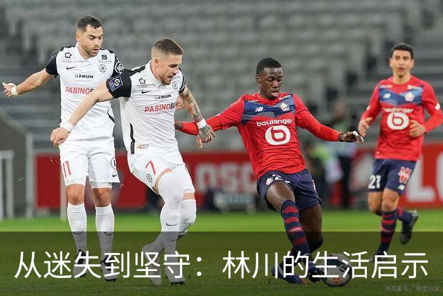 从迷失到坚守：林川的生活启示