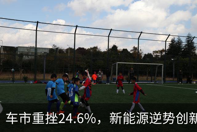 车市重挫24.6%，新能源逆势创新高，燃油车前景堪忧